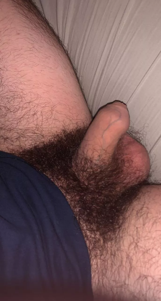 Hairy softie😋 posted by Known-Payment8553