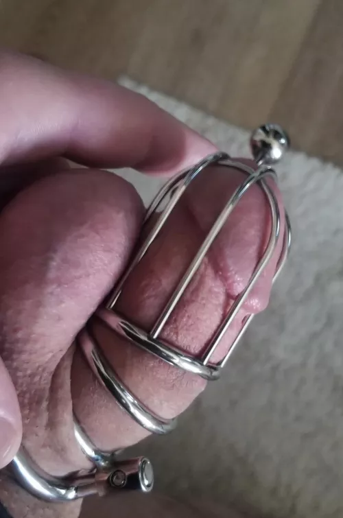 Half way to achieving a locking PA ring to guarantee escape proof chastity. It's taken years of trial and error to get here. Almost at the finish line! by thatonetimeon4chan