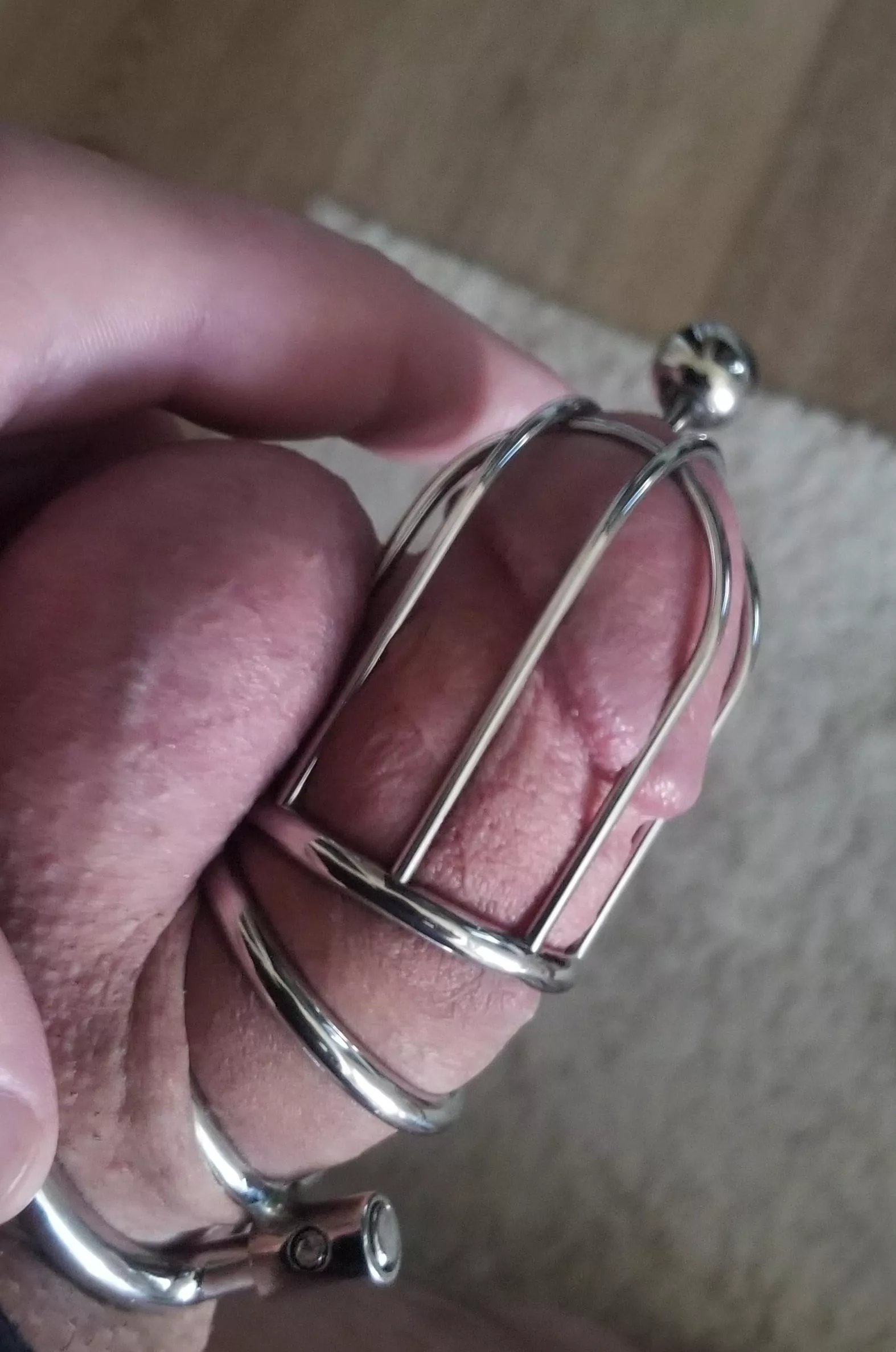 Half way to achieving a locking PA ring to guarantee escape proof chastity. It's taken years of trial and error to get here. Almost at the finish line! posted by thatonetimeon4chan