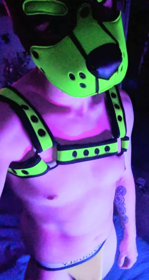 Hanging out in the dark 😈 by DoodTheDoggo