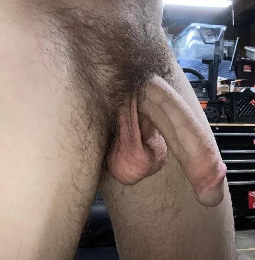 Hanging out in the garage, excuse the bush please. by MDZinLA