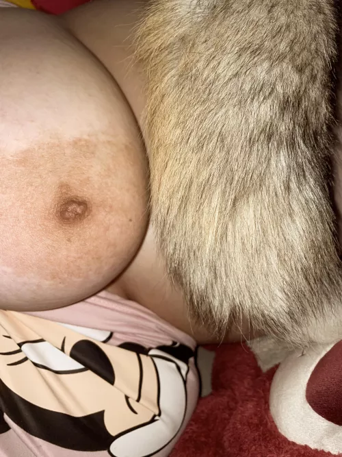 *happily tucks self into bed and sucks on the tip of my tail for comfort* by warriorprincesstink