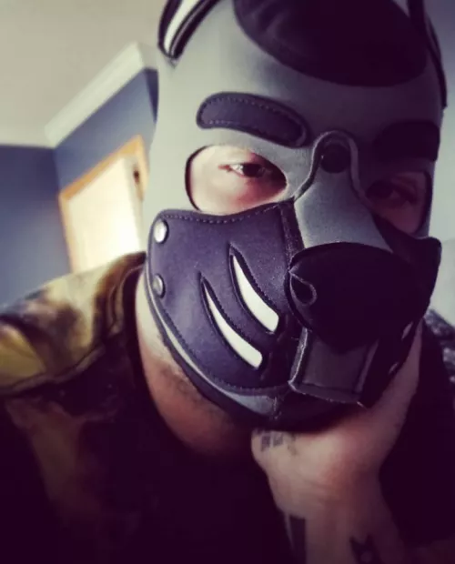 Happy 420 everybody, am very stoned doggo by Alpha_Wvlf