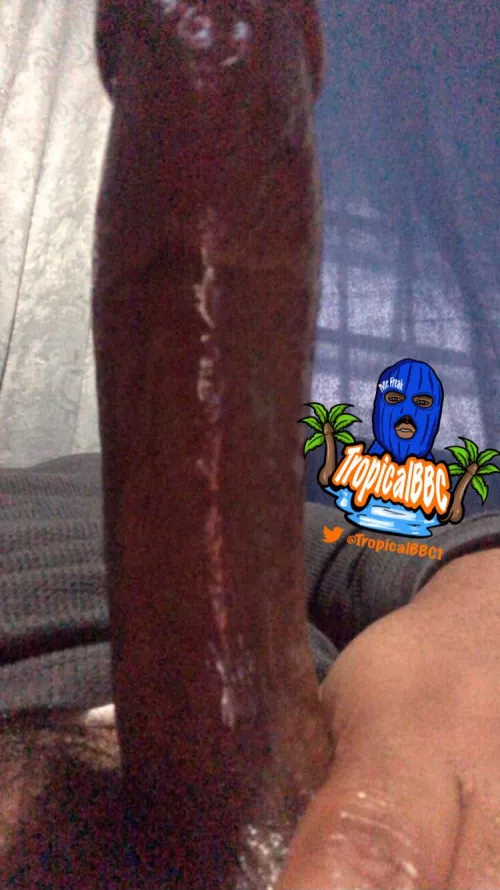 Happy Easter 🐰🥳 now let’s Fuck like bunnies 😏 by lightskinblackd