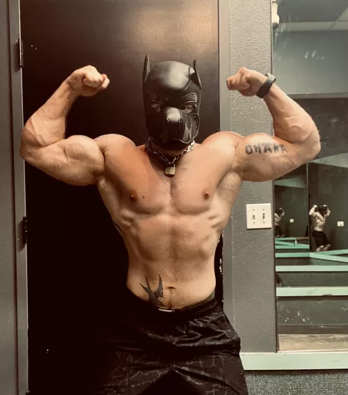 Happy Flex Friday from Pup Flex! by musclepupflex