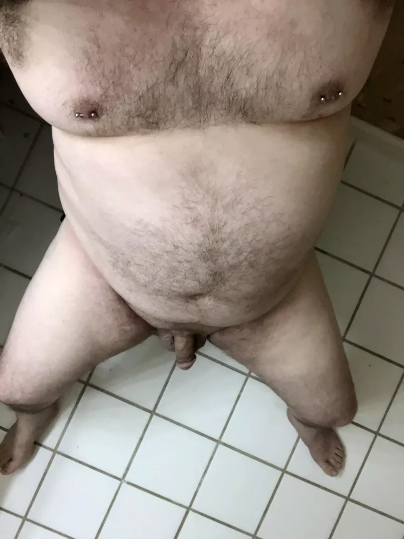 Happy Friday posted by BeardedPapaBear