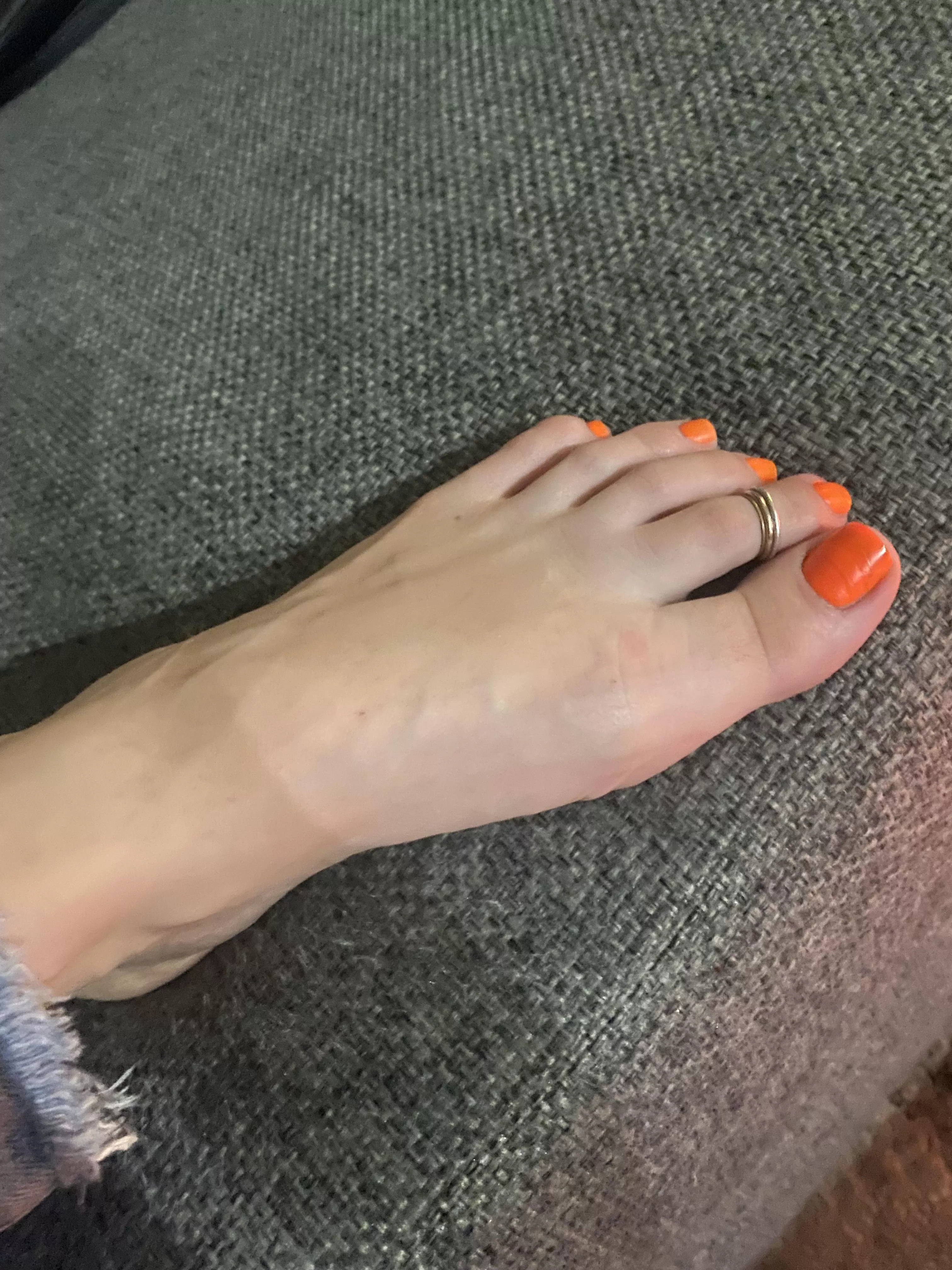 Happy Friday posted by scarlettkitten5