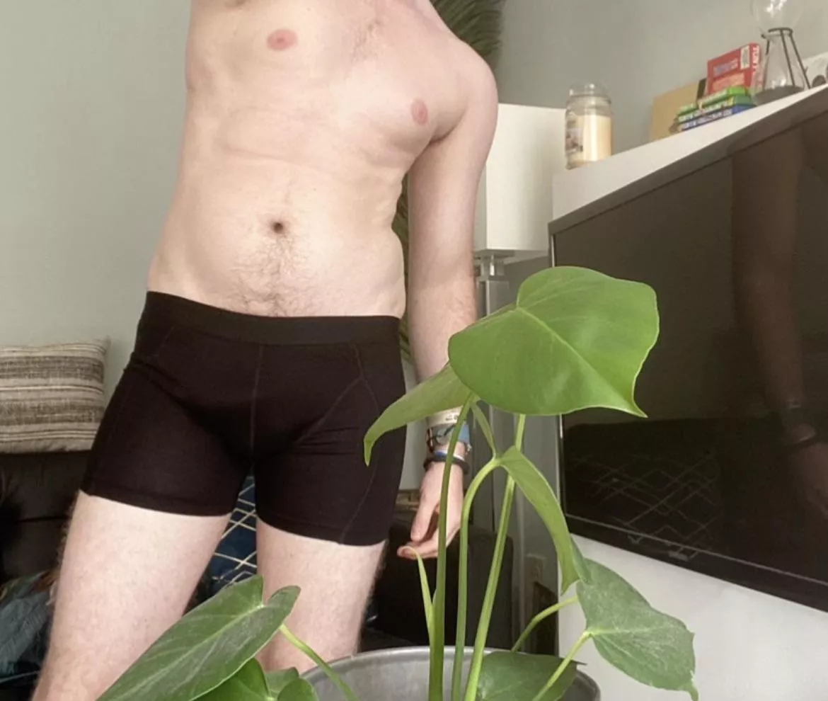 Happy Friday out there! [M](30) posted by Planthoarder23