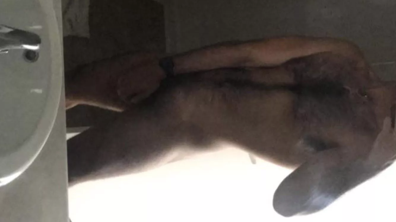 Happy Friday! What do you think about my fur? posted by EmbarrassedBlock8249