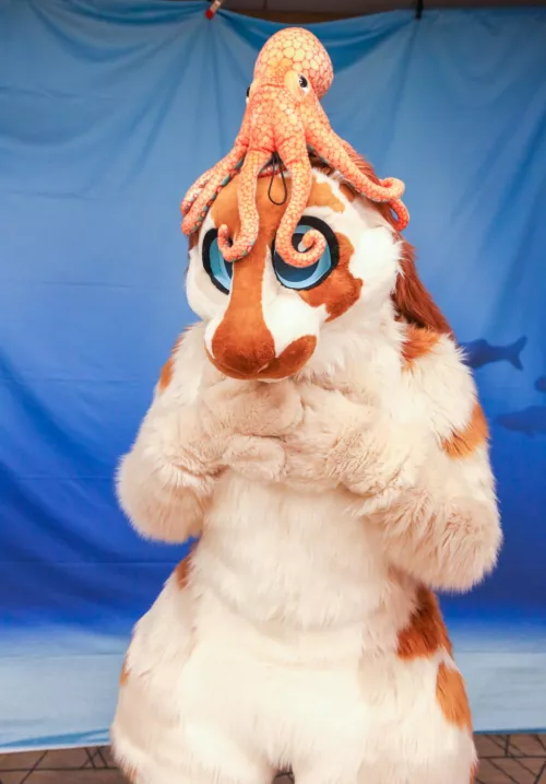 Happy Fursuit Friday! check out this octopus I found! by Zugzwang5