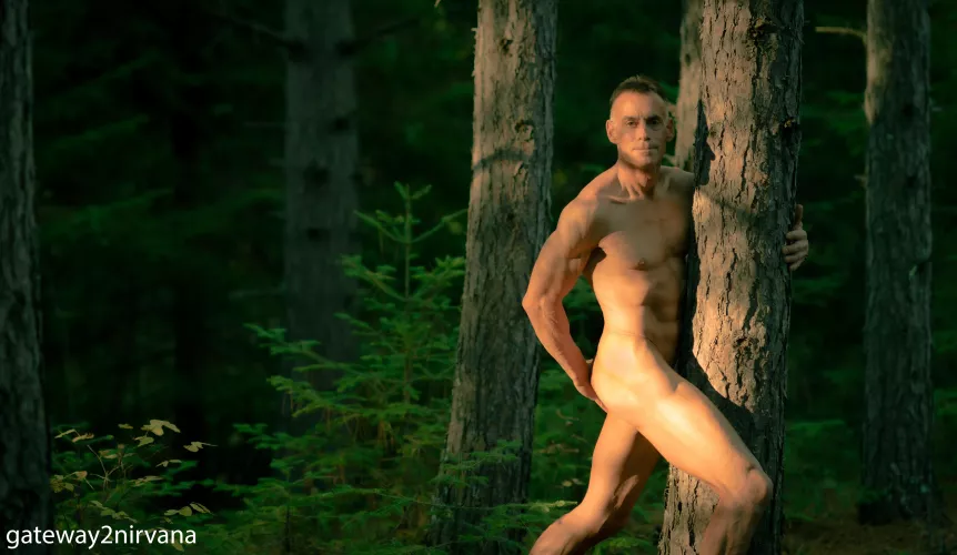 Happy hug a tree day 🌲 by Gateway2nirvana