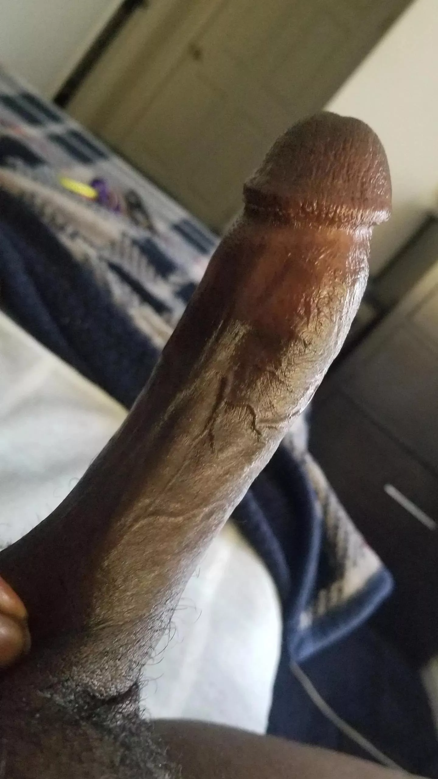 happy hump day! posted by swearimnotlurkin