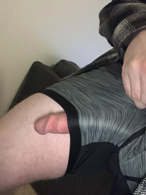 Happy Hump Day by seattleguy253