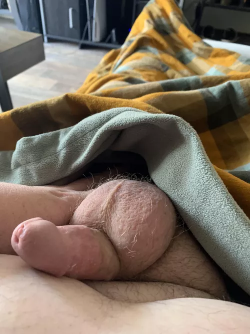 happy hump day all by chubbypup7