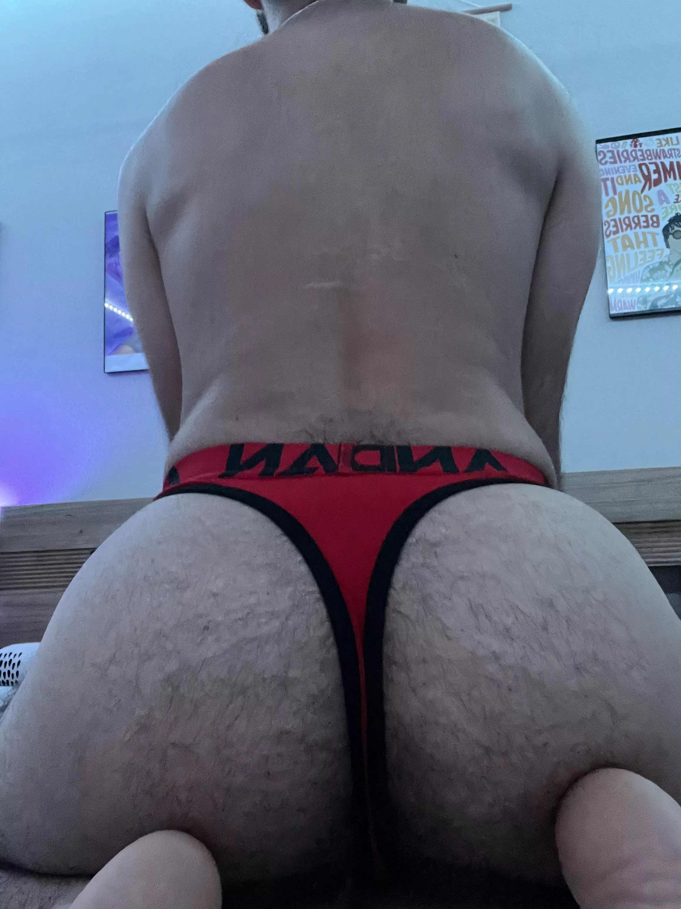 happy hump day posted by eliorossi