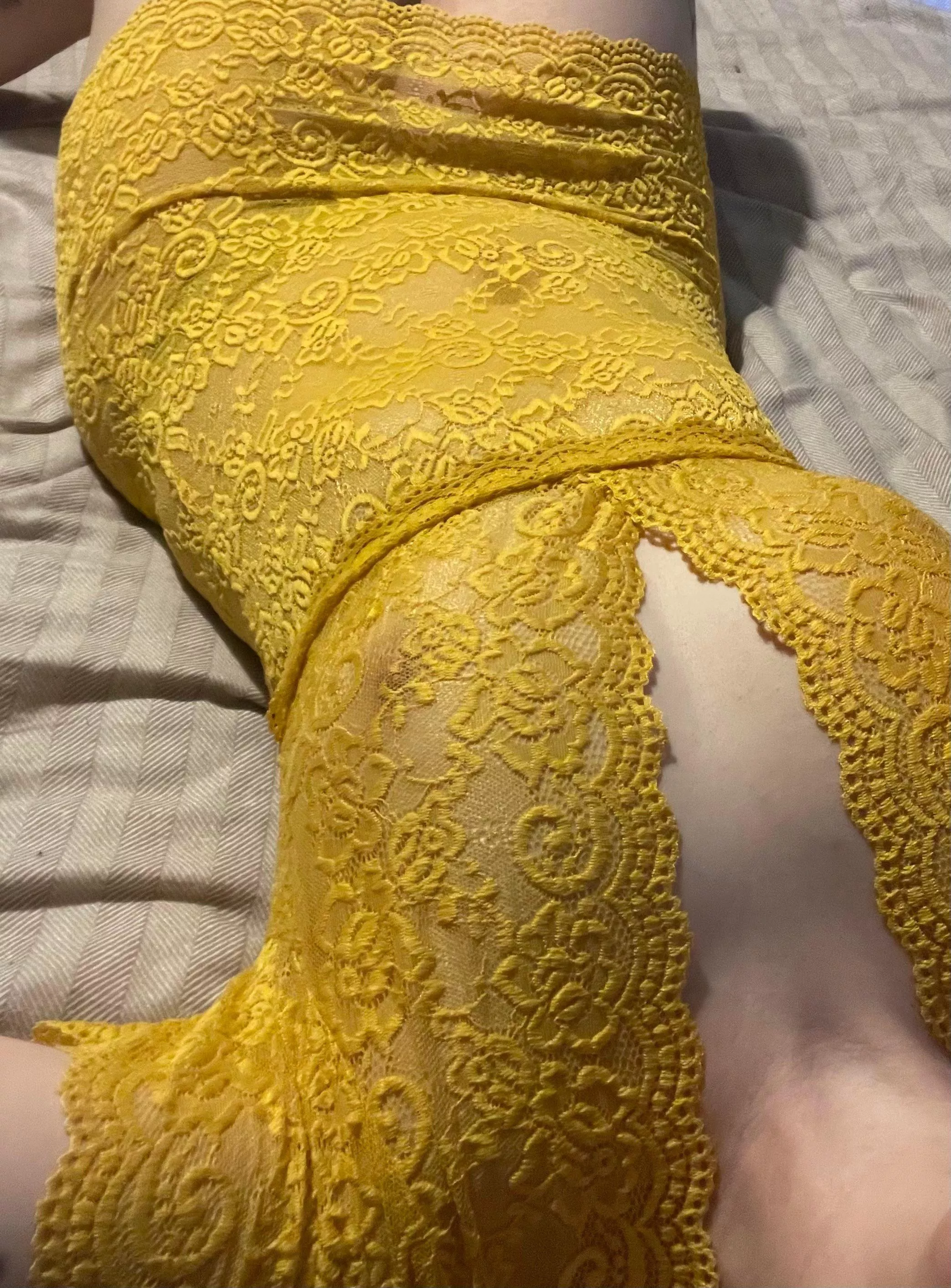 Happy hump day hehe posted by ImMousingAbout