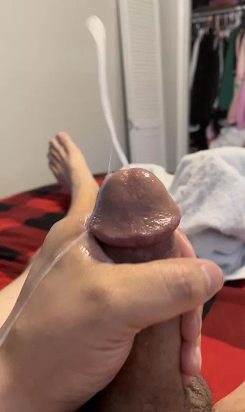 Happy hump day by Harrypotskins1