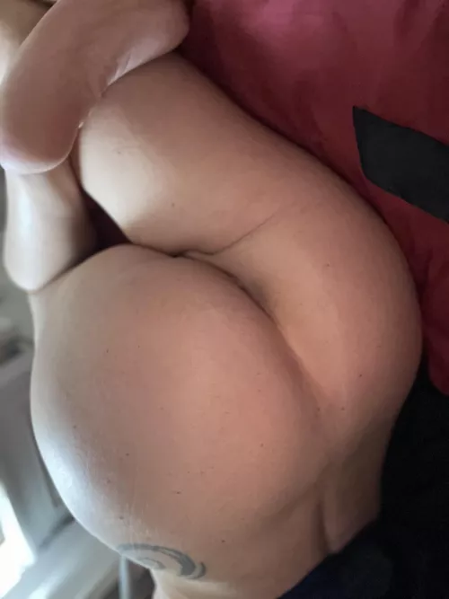 Happy humpday by Cealliagh