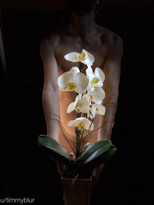 Happy International Women’s Day to all the lovely ladies of r/onmww. You are all such beautiful people!! 😊 by timmyblur