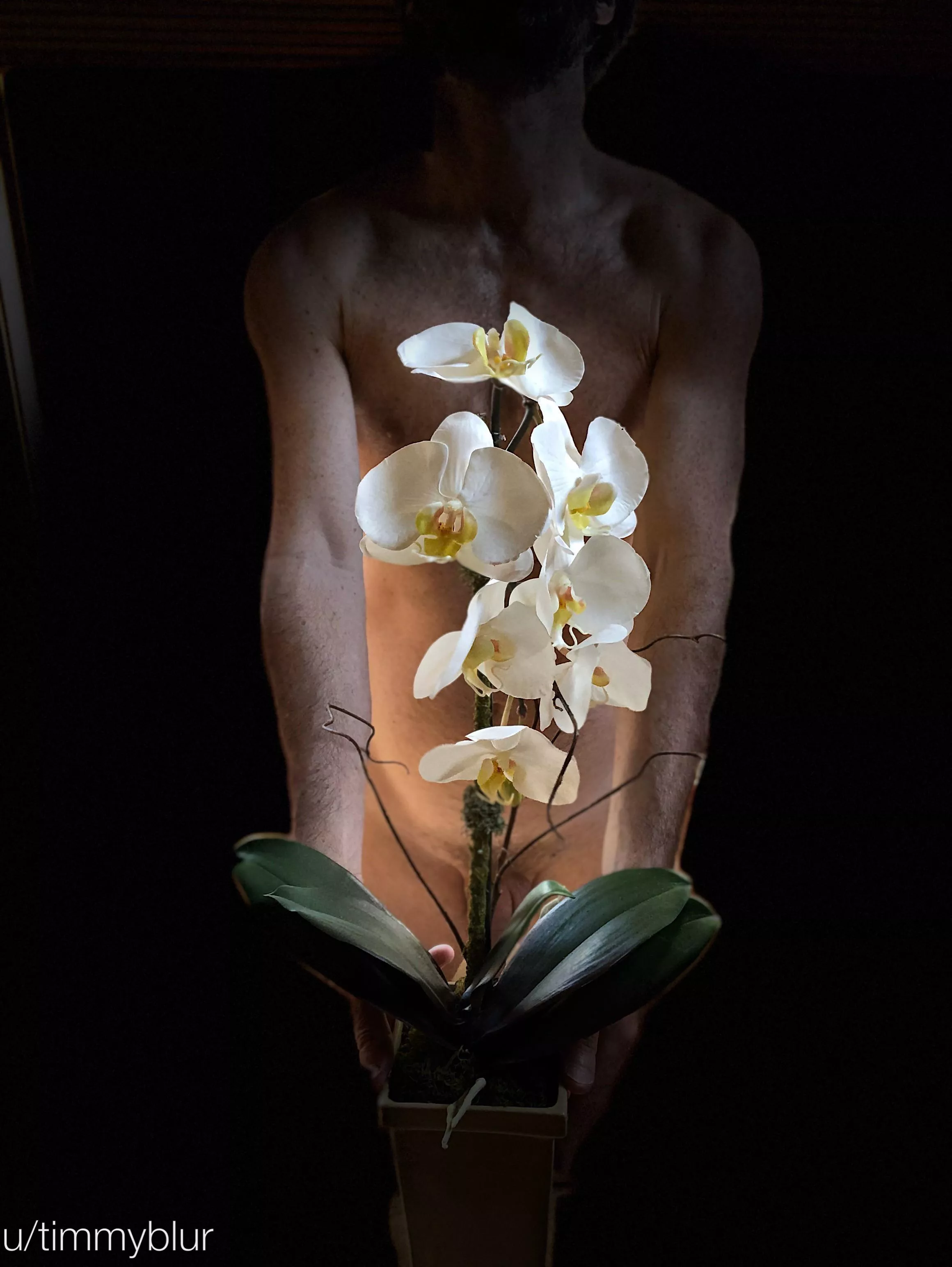 Happy International Women’s Day to all the lovely ladies of r/onmww. You are all such beautiful people!! 😊 posted by timmyblur