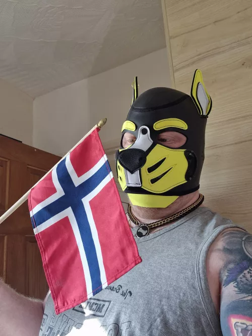 Happy Norways constitution day 🇧🇻 by Iontin