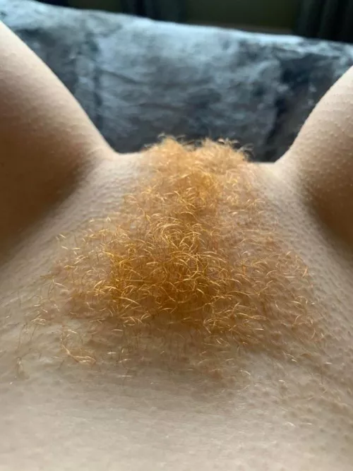 Happy pie day by MiddletownKing1102