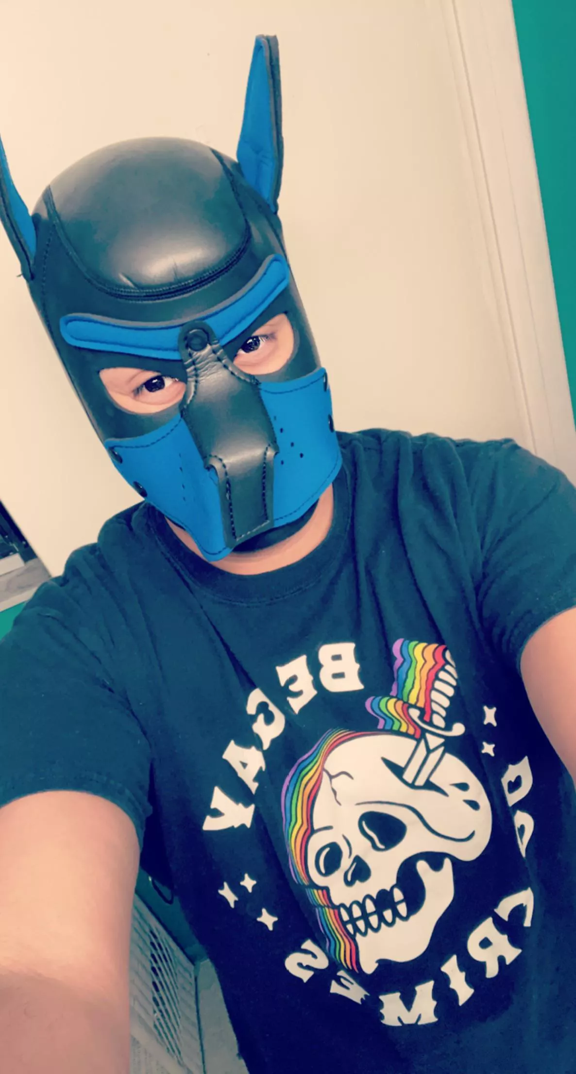 Happy pride from pup Kako :) awroooo ! posted by Kakomino2
