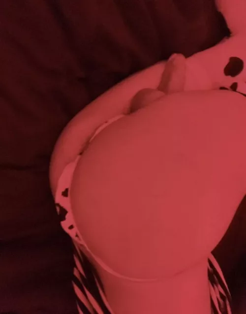 happy pride month :):)🏳️‍⚧️ by itsmolly6666