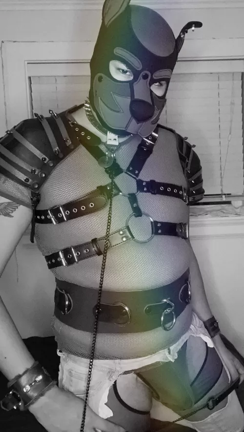 Happy pride mouth now on your knees your treat by xxalexxx69