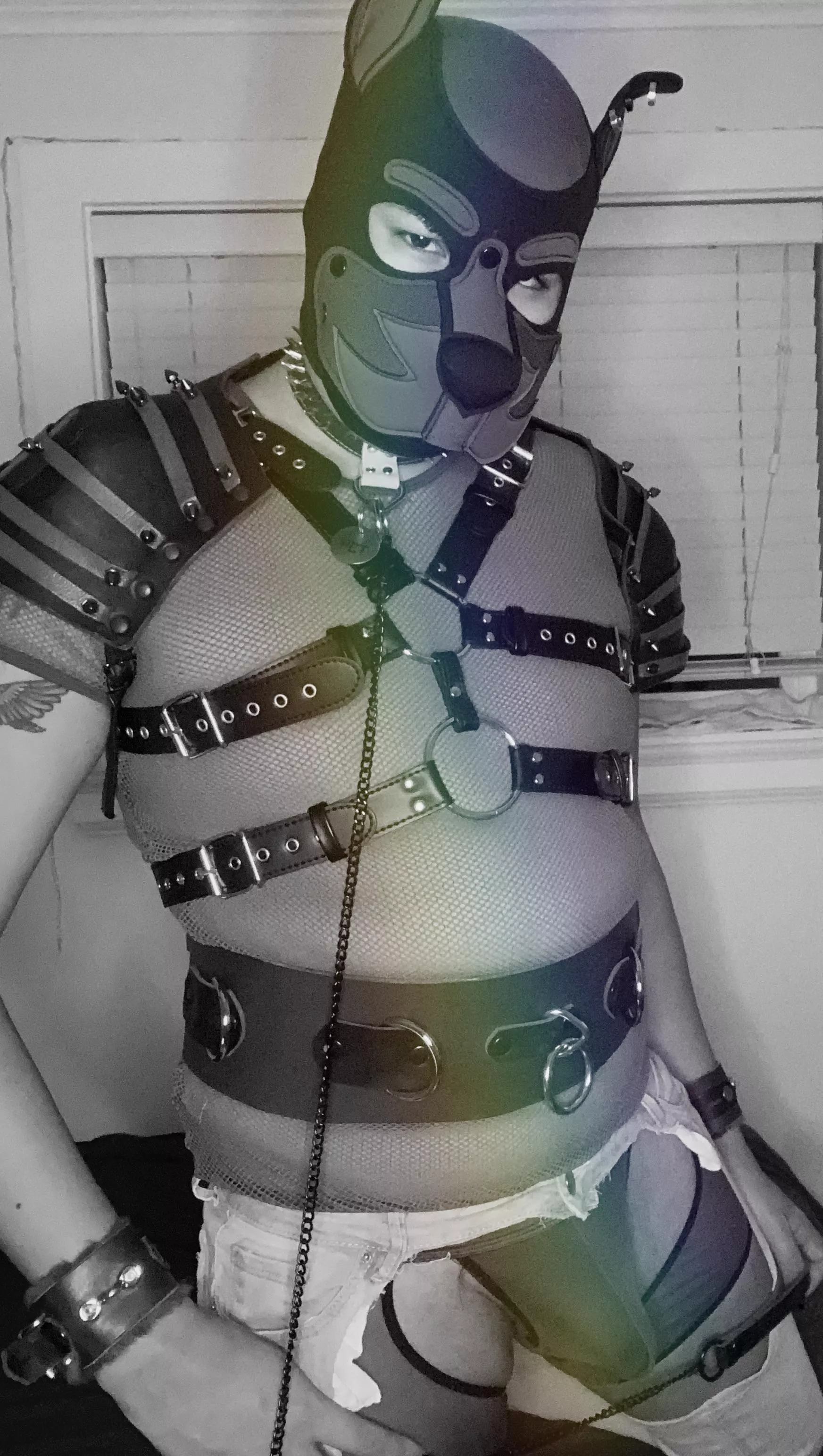 Happy pride mouth now on your knees your treat posted by xxalexxx69