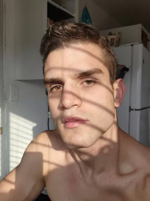 Happy Saturday, bros! Yesterday I tried taking a golden hour shot by the window. by double-leg-day