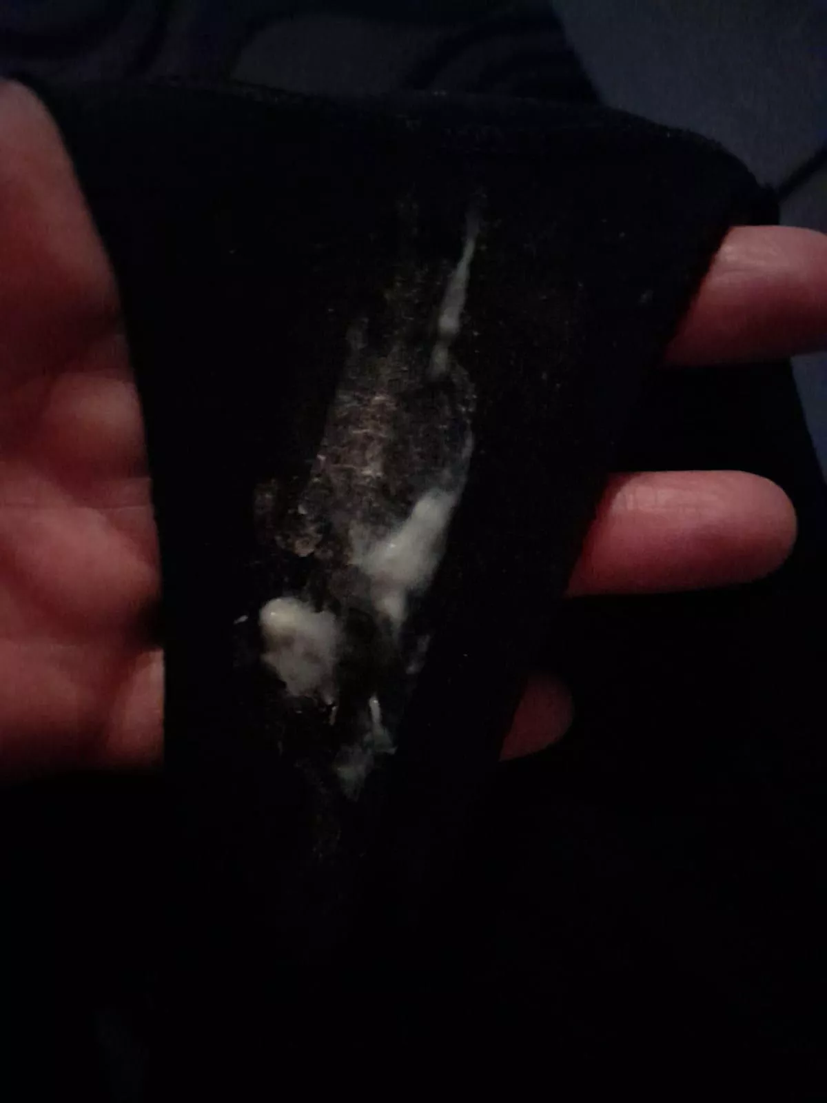 Happy saturday .. coffee with cream???😎😎😎 posted by babygorilla20