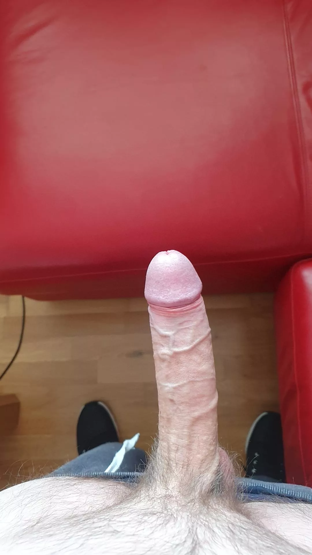 Happy St Patricks day from Ireland posted by joddydoddy