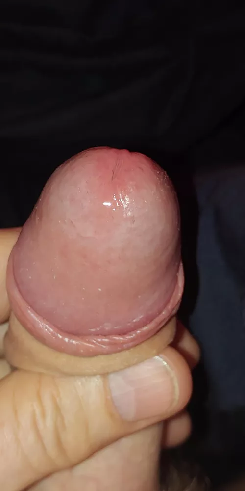 Happy Sunday! by Accomplished_Duty384