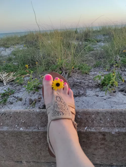 Happy Tuesday by Busy-Freedom3040