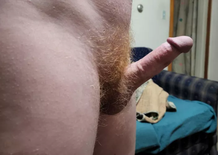 Happy Tuesday! by Lucky_Browse