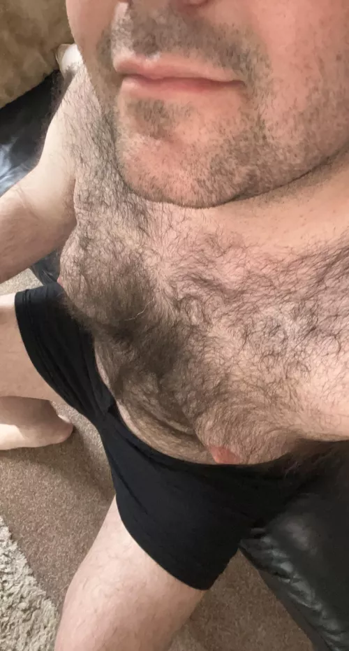 Happy Wednesday guys by british_bear28