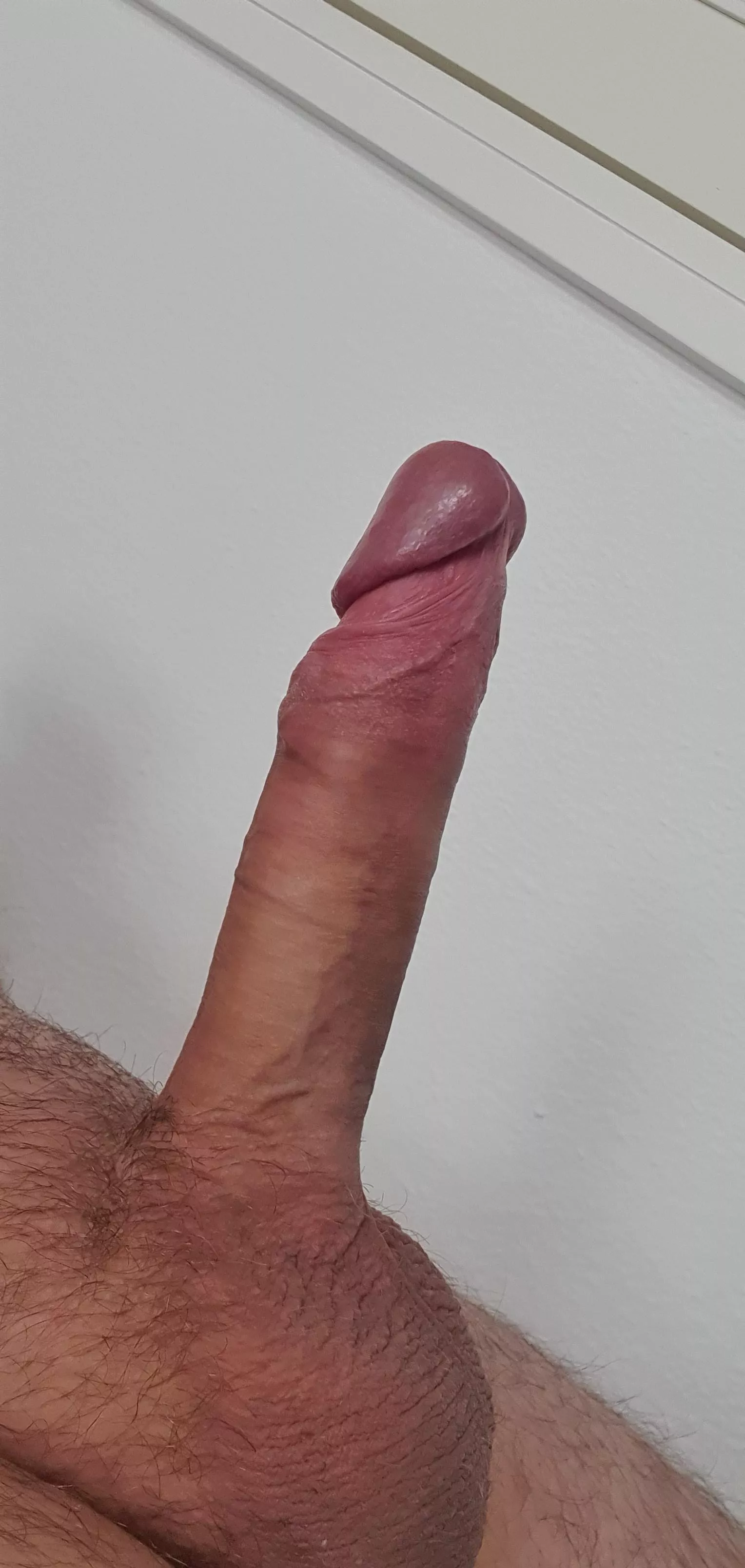 hard and ready posted by RelationshipQueasy95