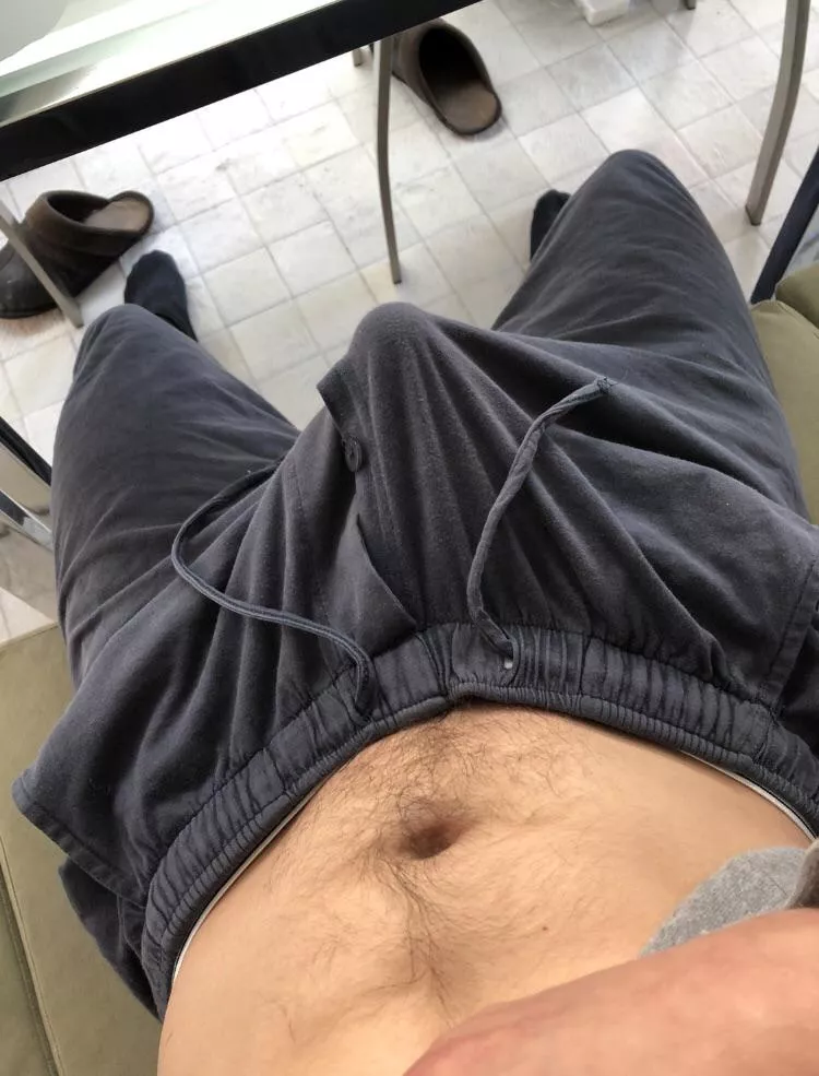 Hard at work posted by Impressive-Ad6360