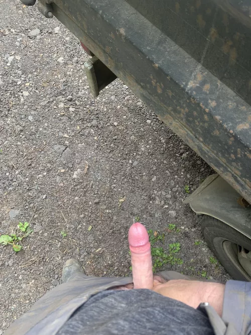 Hard at work! 😂 by Boredoldgamer