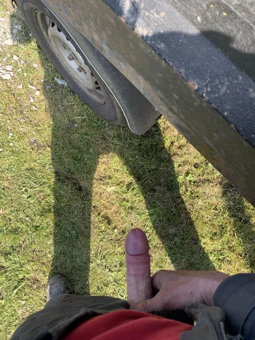 Hard at work! Again! 😂 by Boredoldgamer