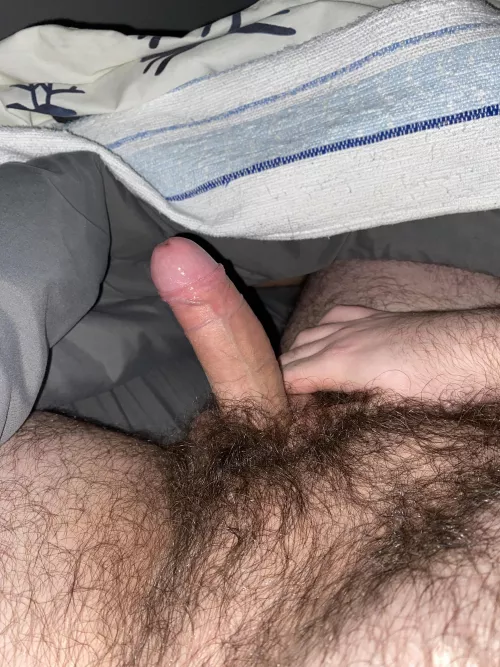 Hard on before sleep. Help me? 🐻🍆 by beardnhairy