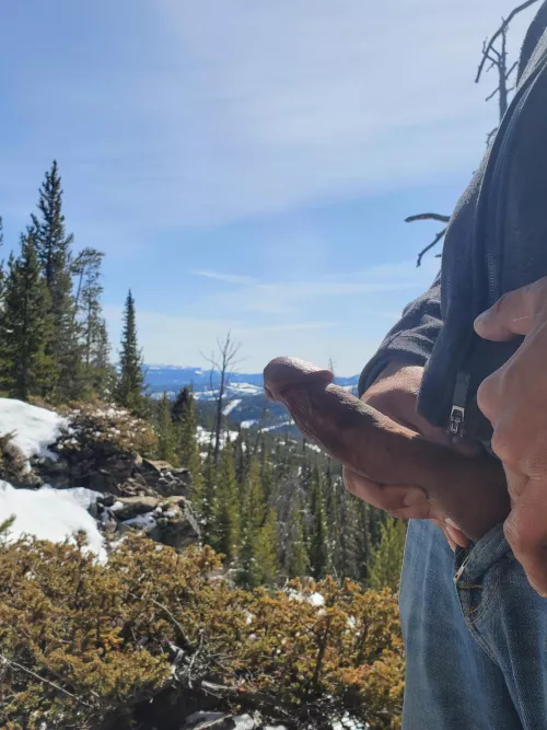 Hard wood on a forest hike. by Phlip037