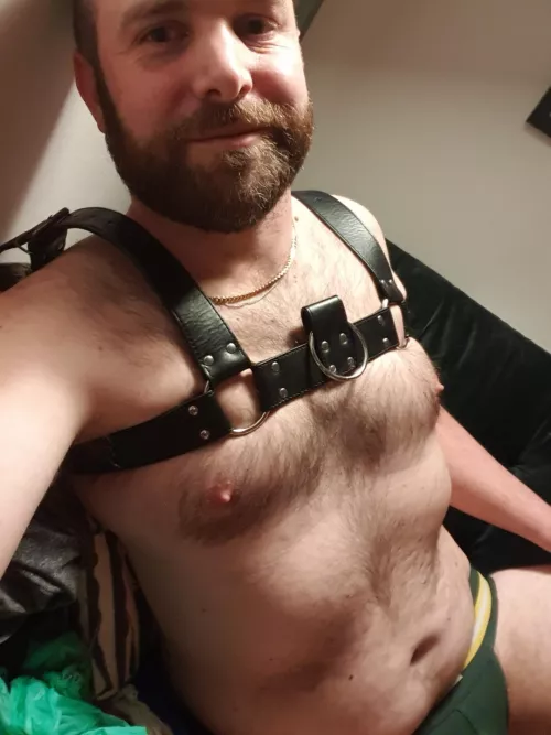 Harness on for the first time in ages. Feeling good. by nick-likes-dick