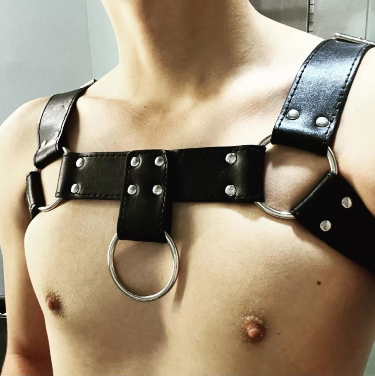 Harness posted by secondsonminge