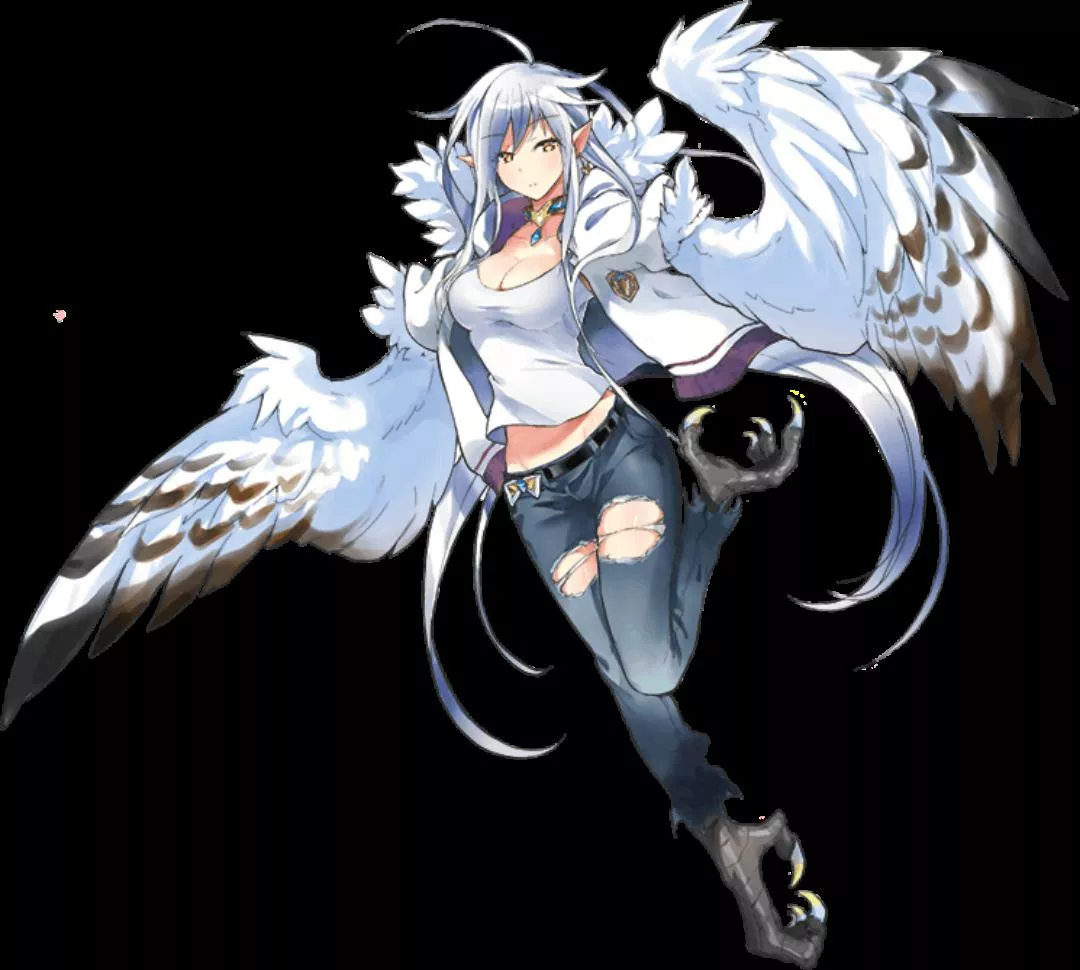 Harpies are my one true MonsterGirl love ❤️ posted by Scardevastation