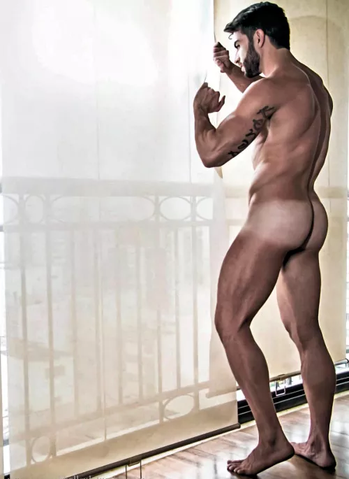 “Harry Louis by Leo Castro” … by neilfromsydney2003