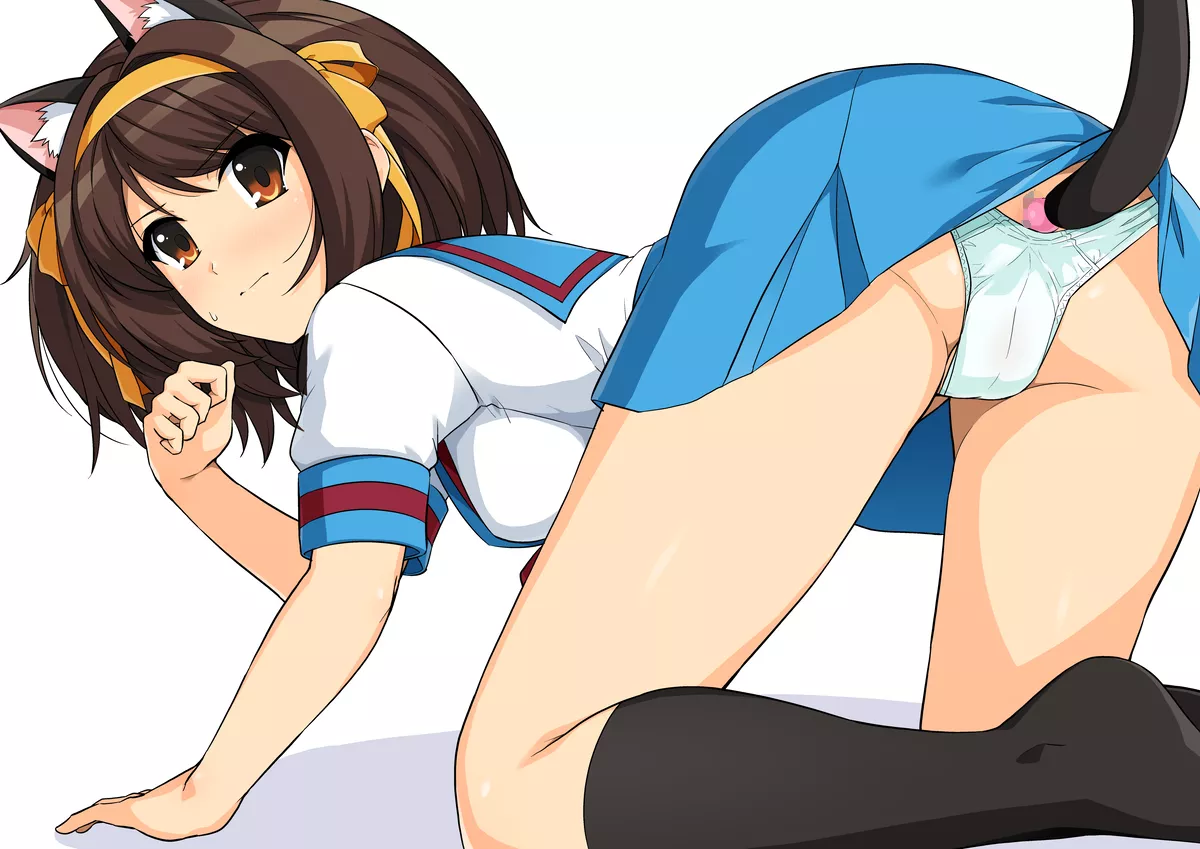 Haruhi Cat Girl Tail Plug posted by sequence_string