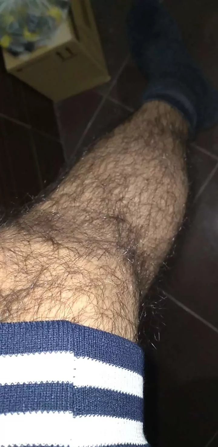 Have a good day, hairy kings posted by Lucky-Aerie4