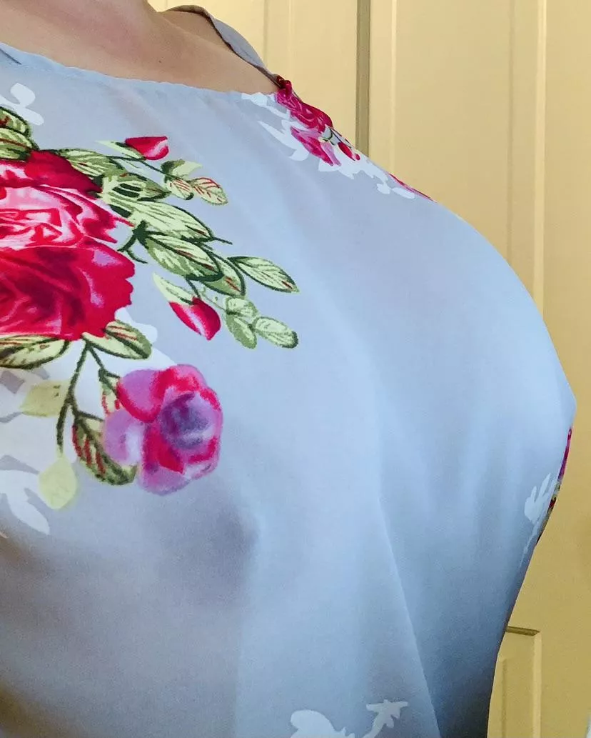 Have a great Sunday! posted by External_Present_927